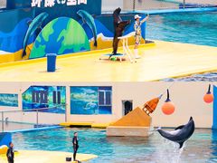 -秦皇岛乐岛海洋王国