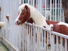 -蓝地时尚庄园(北京清河营地铁站店)