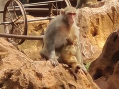 -昆明动物园