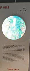 -飞览天下沉浸式飞行体验(北京旗舰店)