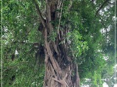 -梁启超故居纪念馆