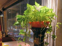 -俭朴菜(鲁磨路店)