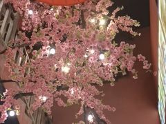 -京都小酒馆(悦城店)
