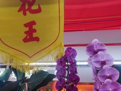 -越秀西湖花市(广州城市广场花卉店)