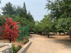 -尚庄度假村·庭台树下·户外烧烤·团建CS·轰趴营地(上庄水库店)