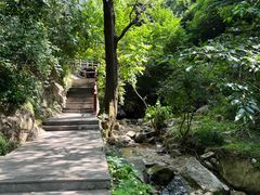 -王顺山国家森林公园