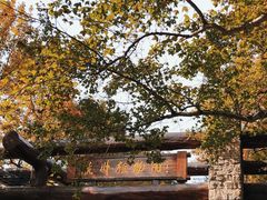 -杭州植物园