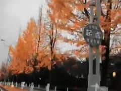 -胜华驾校·小猫学车(银都店)