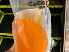 -CoCo都可(嘉定大融城店)