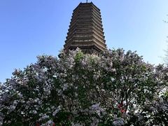-广胜寺塔