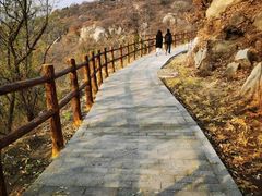 -白水寺森林公园
