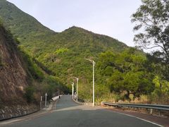 -梧桐山风景名胜区