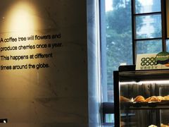 -星巴克(汾阳路店)