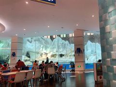 -帝企鹅自助餐厅•儿童岛•真企鹅(长隆企鹅酒店)