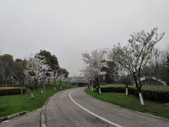 -尚贤河湿地