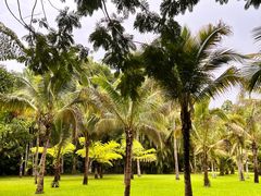 -中国科学院西双版纳热带植物园