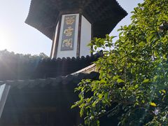 -上海佘山国家森林公园天马山园