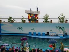 -秦皇岛新澳海底世界