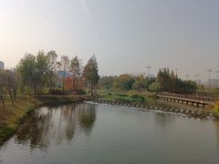 -洋湖国家湿地公园