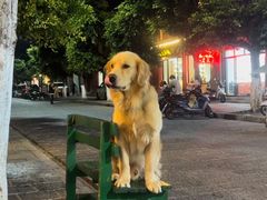 -八木轩·寻味大理白族民俗餐厅(文献路店)