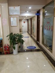 -碧莲盛·不剃发植发