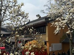 -灵谷景区