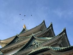 -名古屋城