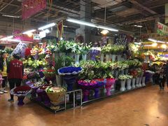 -大自然花鸟鱼虫市场