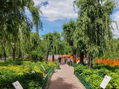 -太阳宫公园