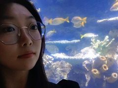 -南昌海洋公园