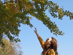 -千年银杏谷文化旅游区