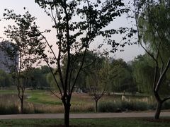 -堤角公园