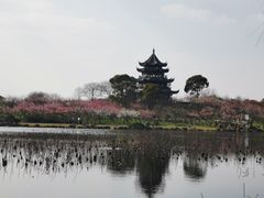 -上海海湾国家森林公园