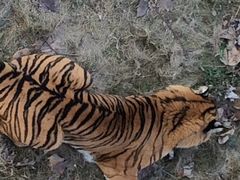 iphone_upload_pic-南昌动物园
