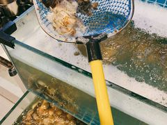 -喜多鲜生海鲜自助(无锡旗舰店)
