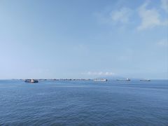-招商蛇口邮轮母港(观光客运)