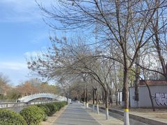 -元大都城垣遗址公园