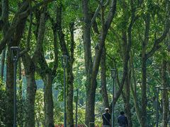 -云溪植物园
