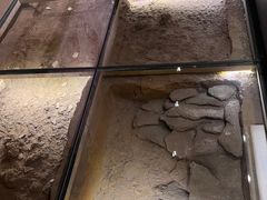 -青海藏文化博物院