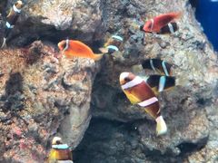 -福州罗源湾海洋世界旅游区