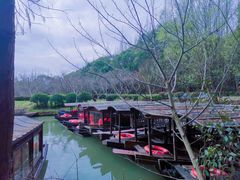 -同里国家湿地公园