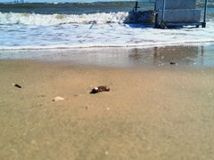 -东戴河风景区-止锚湾