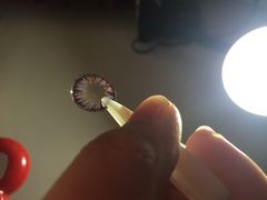 4inlook美目美佳隐形眼镜店(虹口龙之梦分店)-4iNLOOK美瞳店(龙之梦购物中心虹口店)