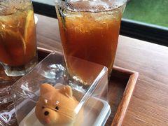 -柴犬高等学院·狗咖·柴犬售卖·宠物训练