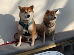 -小意思咖啡店(草桥店)