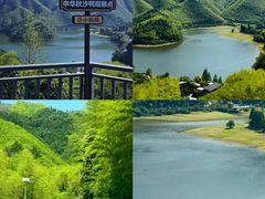 -阿露佳·舌尖上的安吉菜