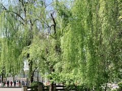 -国际非物质文化遗产博览园