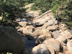 -无染寺