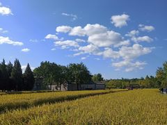 -北坞公园