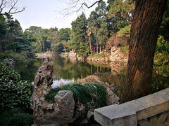 -叶家花园